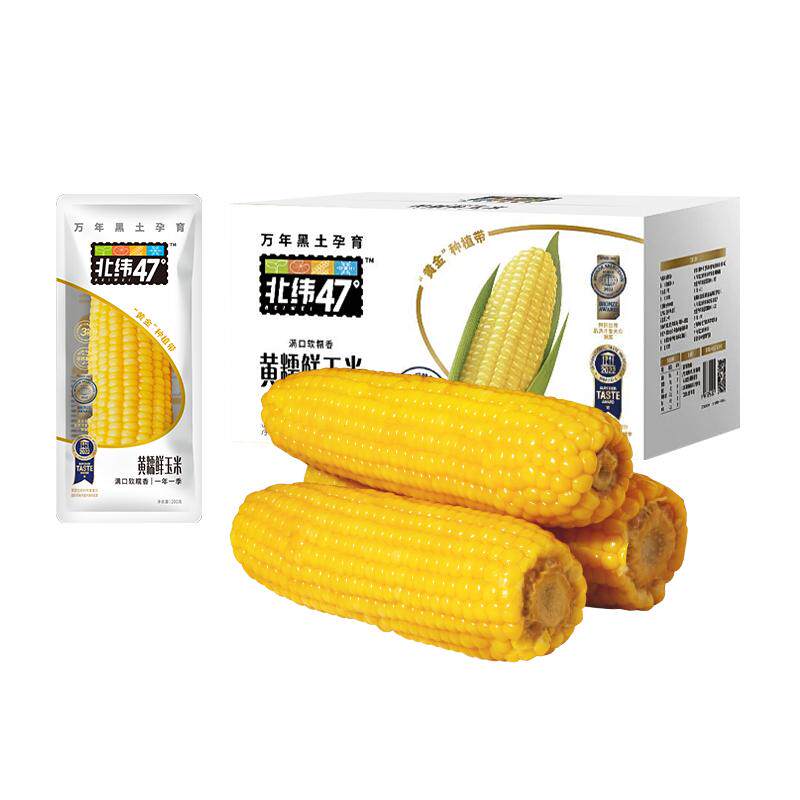 北纬47度鲜糯玉米新鲜东北黄糯甜玉米真空装早餐粘黏玉米粗粮代餐