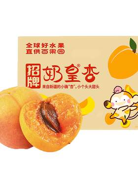 百果园招牌奶皇杏新疆吊干小红杏