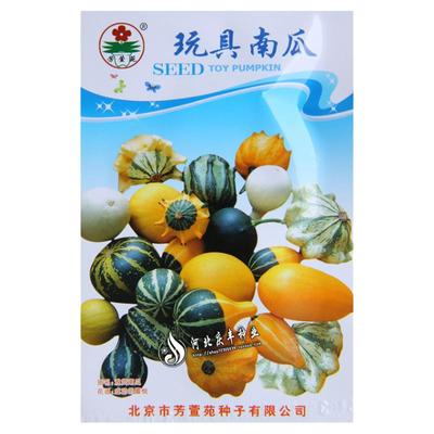 农家南瓜种子绿红贝贝特大超甜