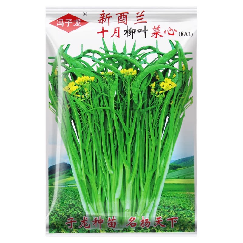 甜脆柳叶菜心种子四季甜菜心种籽子广东油青菜心蔬菜冬季青菜桂林