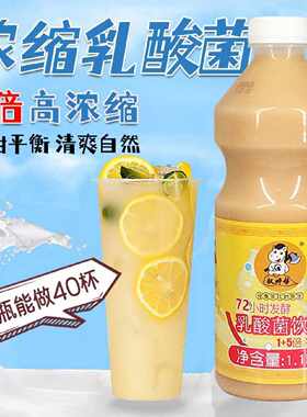 【权焠帮】乳酸菌益生菌饮料饮品发酵浓缩酸奶益菌多奶茶专用商用