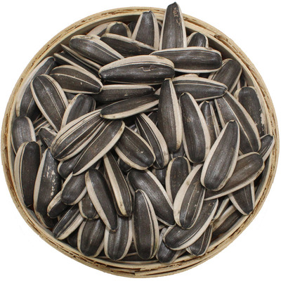 生瓜子葵花籽新货内蒙古大粒薄皮