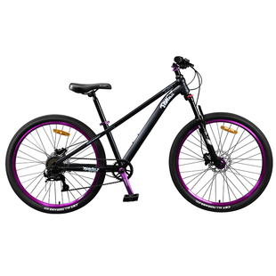 永久山地自行变速款前后油碟单车学生青少年成人男女越野竞速赛车