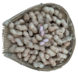 25年新鲜晒干生花生山地农家自种带壳粉白皮四川重庆特产小粒花生