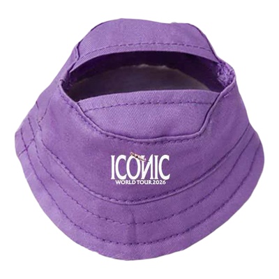 郭富城演唱会同款17cm娃衣