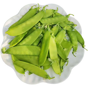 荷兰豆种子紫花软荚四季菜豌豆大荚正宗蔬菜种籽孑适合春天种的菜