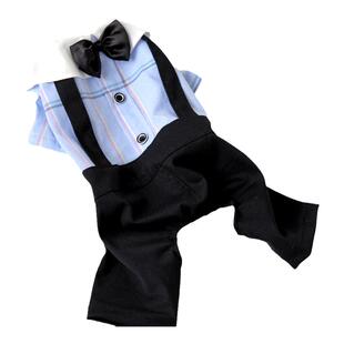 宠物比熊小型犬泰迪狗狗衣服春夏装薄款四脚衣公主学生裙子情侣装