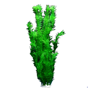 鱼缸造景装饰水鱼缸水草植物水族布景套餐仿真水草海草塑料人造花
