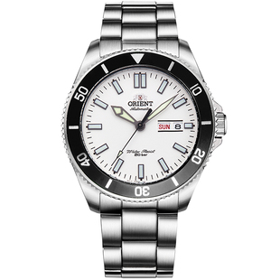 双狮男表原装进口44mm大表盘潜水表200m防水全自动机械表手表钢带