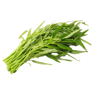 白梗空心菜种子农家菜种籽南方四季籽种蔬菜孑菜籽水种子大全秋冬