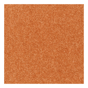 日本东理地毯TOLI儿童日式拼接地垫家用宠物防滑抗污消臭地垫睡垫