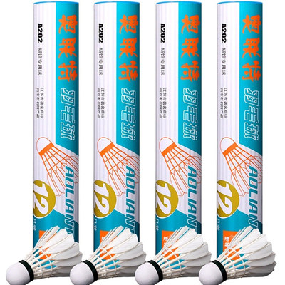 鹅毛球室内外训练比赛专业羽毛球