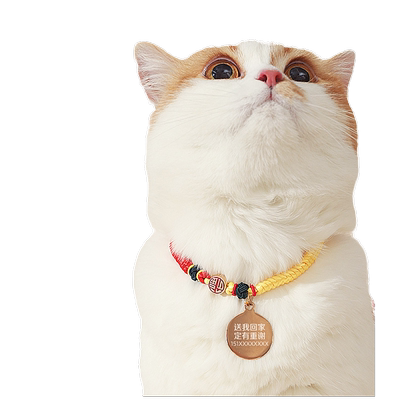 Hoopet/华元宠具猫牌免费刻字猫