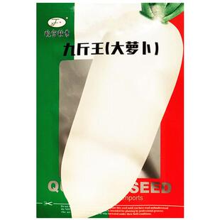 九斤王大白萝卜种子春秋四季播种蔬菜籽种庭院大田种植长白萝卜孑