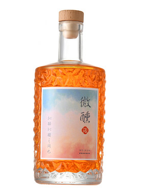 新款自酿玻璃酒瓶玻璃创意大众