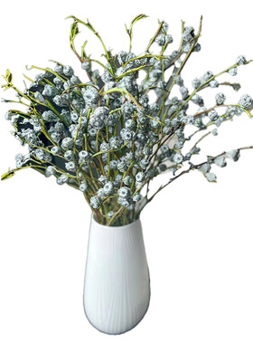 尤加利果黄金球鲜花插花装饰花材