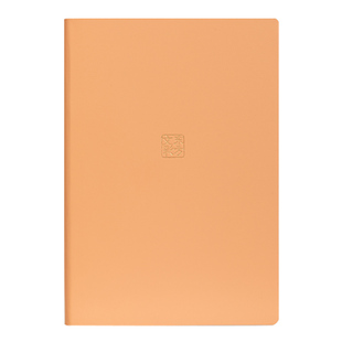 得力东方文彩系列笔记本子软皮皮面本彩色喷边PU记事本创意简约大学生ins风办公会议记录本日记本文艺本子a5