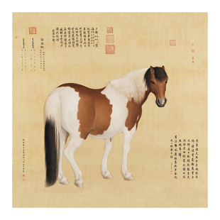 清郎世宁十骏图马年生肖画新中式装饰画客厅沙发玄关茶楼挂画卷轴