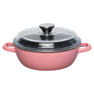 RIESS奥地利进口焕彩搪瓷砂锅家用炒菜双耳耐高温炖盅不粘平底锅