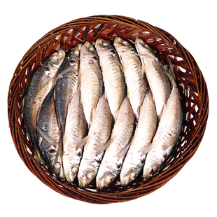 精致潮菜 巴浪鱼饭鲜甜每天少量制作已去肚不太咸 2斤 顺丰包邮