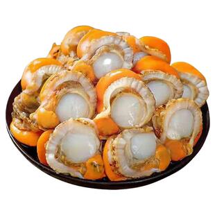 新鲜扇贝肉特大号冷冻带黄带膏无冰商用蒜蓉粉丝海鲜水产10斤红贝