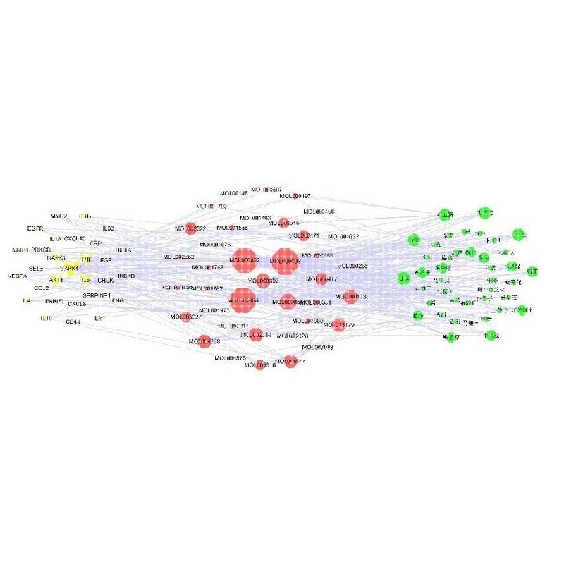 网络药理学专业代做 cytoscape作图 GO/KEGG富集 PPI网络