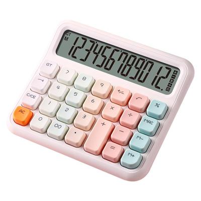 计算器办公室用高级大学生儿童