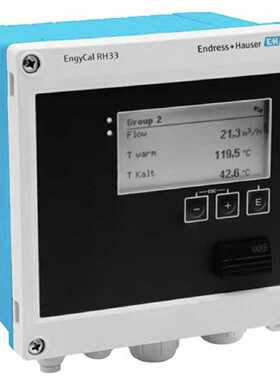 议价EH 能量计算仪 RH33-AA1AAAB1D2(RH33-12V0/0) 原装正品  现