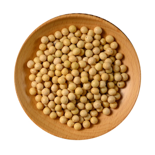 讷粮优选东北黄豆头茬大颗粒非转基因大豆五谷杂粮打豆浆发豆芽豆