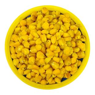 发酵老坛玉米打窝料鱼饵野钓江河水库鲫鲤草鱼饵野钓大物水库重窝