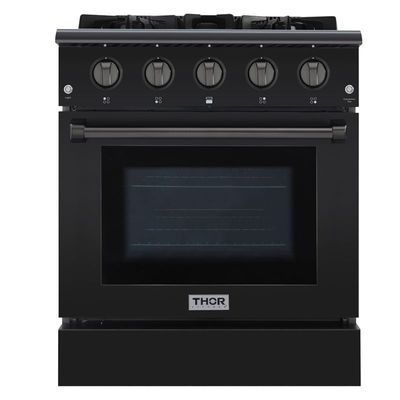 限量版家用开放式燃气烤箱