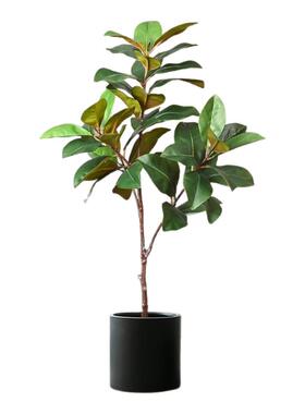 仿真绿植玉兰树盆栽高端轻奢室内客厅落地装饰花大型仿生植物假树