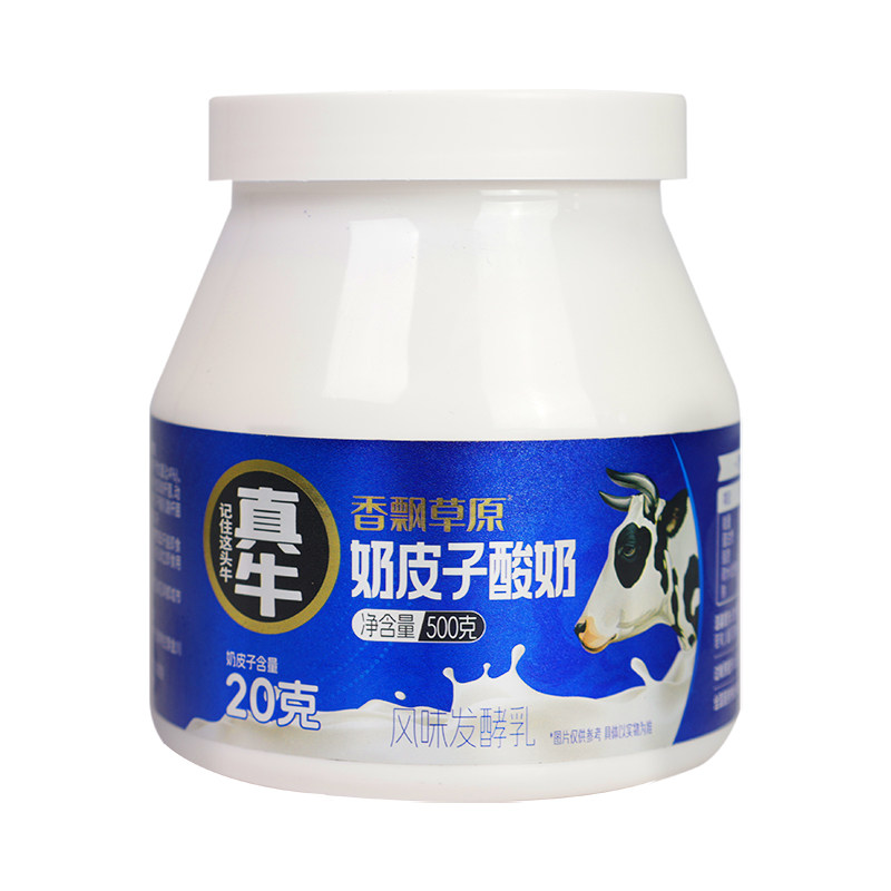 内蒙古传统工艺奶皮子酸奶罐装