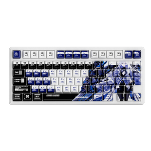 RK R75Pro磁轴机械键盘电竞游戏专用客制化有线台式电脑无畏契约