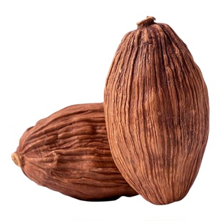 砂仁草果香料调料大全大料炖肉卤料中药材特级商用批发官方旗舰店