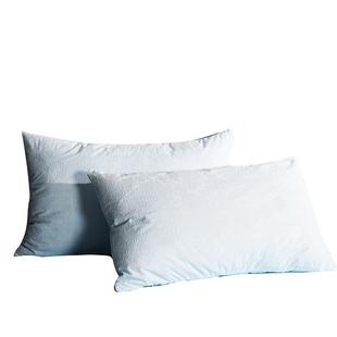 防水隔脏枕套一对装家用双人防头油枕头套巾儿童防口水枕芯内胆套