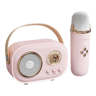 小红书爆款丨赵昭仪同款K歌音响