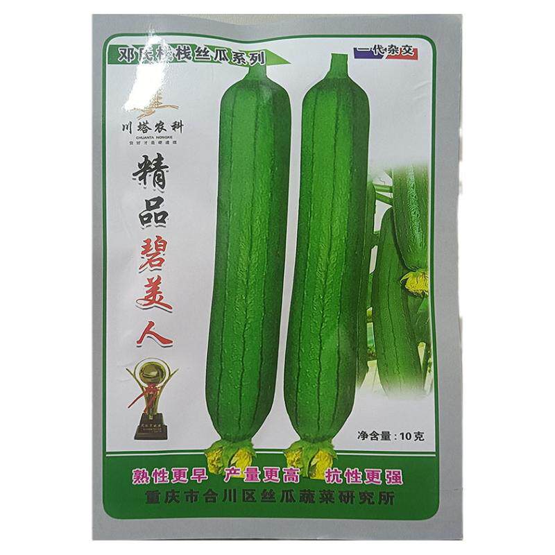 精品碧美人10g杂交高产大肉丝瓜
