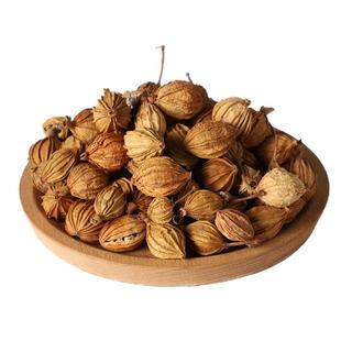 香砂仁香料500g包邮四川特产川沙仁金砂仁沙仁粉波寇中药材调料