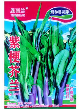 紫梗芥兰种子红脚芥蓝种籽红菜苔