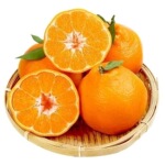 正宗四川不知火丑橘新鲜水果手剥甜蜜多汁现采直发儿童应季水果