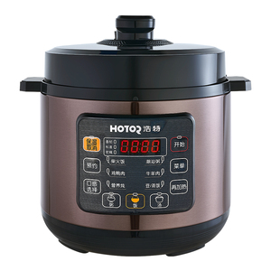 新品上市D10电压力智能电饭锅
