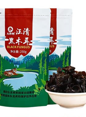 大柞树东北黑木耳无根肉厚小碗耳