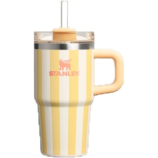STANLEY吸管杯保温杯条纹水杯子20oz车载不锈钢大容量小巨无霸杯