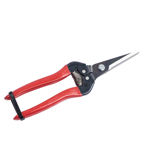 日本爱丽斯采摘剪ARS300L花枝剪家用花卉摘果剪蔬果剪稀花稀果剪