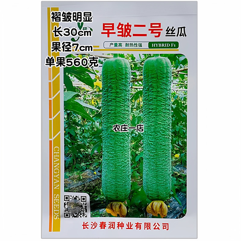 皱皮丝瓜种子新品种褶皱明显30cm
