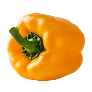 高产甜椒种子籽苗灯笼圆椒秧苗青椒太空椒菜苗南方种冬季蔬菜孑