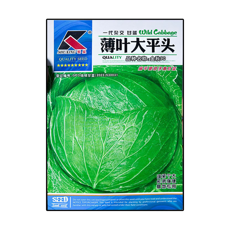 薄叶大平头甘蓝莲花白菜种子高产