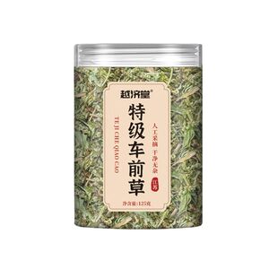 车前草野生干货官方旗舰店新鲜泡水喝的功效与作用中草药尿酸尿路