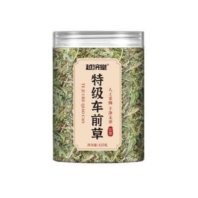 越济堂特级车前草整珠清热利湿